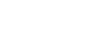 Лого на DroneShow BG