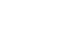partner logo 2026 mid 10